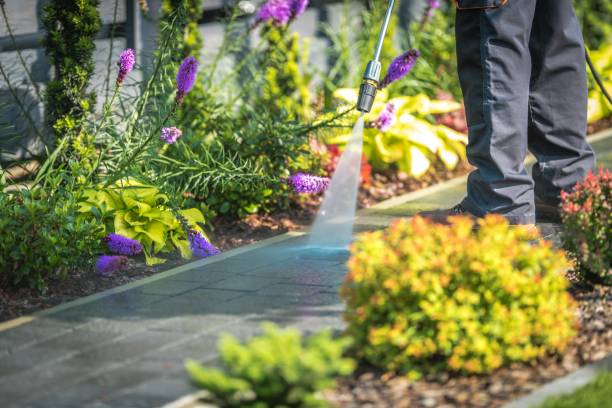 Best Winterizing Services  in Hearne, TX