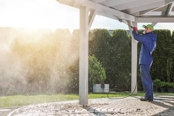 Best Roof Washing  in Hearne, TX