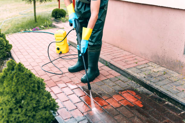 Best Animal Enclosure Cleaning  in Hearne, TX